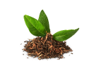 Šampony s tea tree olejem